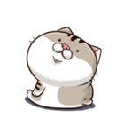 Ami-太った猫 可愛い（個別スタンプ：24）
