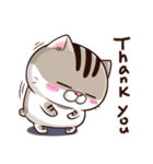 Ami-太った猫 可愛い（個別スタンプ：38）