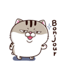Ami-太った猫 可愛い 2（個別スタンプ：1）