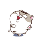 Ami-太った猫 可愛い 2（個別スタンプ：5）