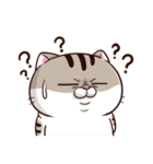 Ami-太った猫 可愛い 2（個別スタンプ：8）