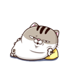 Ami-太った猫 可愛い 2（個別スタンプ：13）