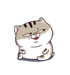 Ami-太った猫 可愛い 2（個別スタンプ：18）