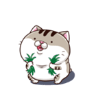 Ami-太った猫 可愛い 2（個別スタンプ：27）