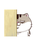 Ami-太った猫 可愛い 2（個別スタンプ：31）