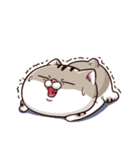 Ami-太った猫 可愛い 2（個別スタンプ：36）