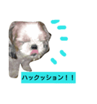 犬の行動に一言（個別スタンプ：7）