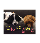 りんとけん（個別スタンプ：3）