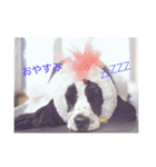 りんとけん（個別スタンプ：8）