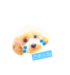 まいんすたんぷ（個別スタンプ：3）
