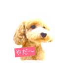 まいんすたんぷ（個別スタンプ：4）