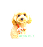 まいんすたんぷ（個別スタンプ：5）
