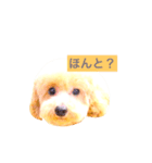 まいんすたんぷ（個別スタンプ：7）