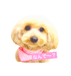 まいんすたんぷ（個別スタンプ：8）