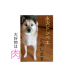 永沢ドンベエ（個別スタンプ：6）