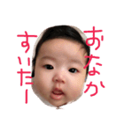 帆乃華すたんぷ（個別スタンプ：16）