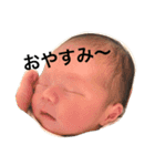 樹希スタンプ（個別スタンプ：6）