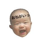 樹希スタンプ（個別スタンプ：9）