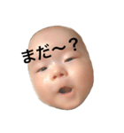 樹希スタンプ（個別スタンプ：12）