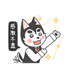 Husky - Hachi（個別スタンプ：12）