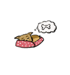 COOKIEYORKIE（個別スタンプ：28）