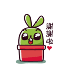 Green Rabbit Corky（個別スタンプ：21）
