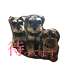 dogs ！（個別スタンプ：4）