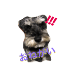 dogs ！（個別スタンプ：5）
