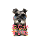 dogs ！（個別スタンプ：8）