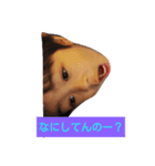 り男たん（個別スタンプ：2）