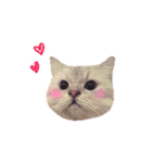 あいらぶ猫ちゃんず（個別スタンプ：2）