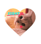 あいらぶ猫ちゃんず（個別スタンプ：3）