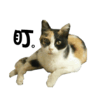 Meowou（個別スタンプ：4）