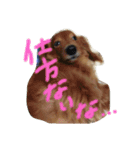 Happy stamp set！！（個別スタンプ：10）