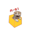 にゃんこのまろん（個別スタンプ：14）