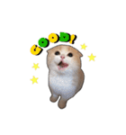 にゃんこのまろん（個別スタンプ：32）