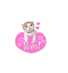 にゃんこのまろん（個別スタンプ：34）