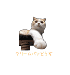 にゃんこのまろん（個別スタンプ：37）