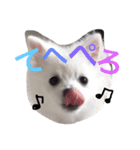 くるむのきもち（個別スタンプ：3）