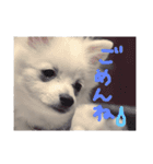 くるむのきもち（個別スタンプ：5）