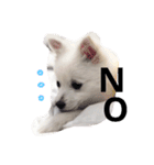 くるむのきもち（個別スタンプ：7）