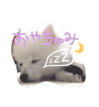 くるむのきもち（個別スタンプ：9）
