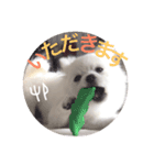 くるむのきもち（個別スタンプ：15）