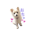 くるむのきもち（個別スタンプ：16）