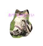 うららちゃんスタンプ（個別スタンプ：4）