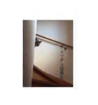 我が家のにゃんこず（個別スタンプ：17）