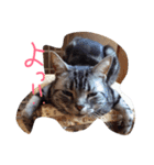 我が家のにゃんこず（個別スタンプ：18）