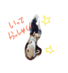 我が家のにゃんこず（個別スタンプ：30）