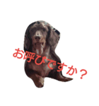 まろです（個別スタンプ：8）