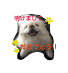 ココのいる生活 II（個別スタンプ：1）